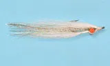 Albino Minnow