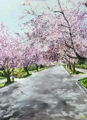 Cherry Trees, Sixth Street Greenport — Nova Constellatio Gallery