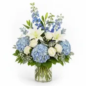 Beautiful and Blue