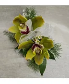 DOUBLE CYMBIDIUM ORCHID