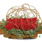 Rose Revelation