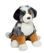 ASPEN DOG AUSTRALIAN SHEPHERD