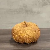 Dried Cheese Gourd - 7" in Diameter
