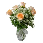 1/2 Dozen Roses Peach