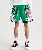 Boston Celtics Mesh Shorts
