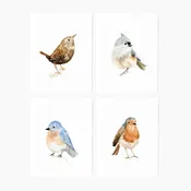 Birds assorted notecard set