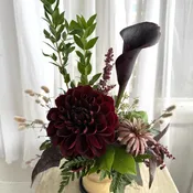 Black Lotus