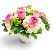 Blush & Bloom