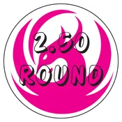 2 1/2 inch round button