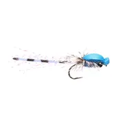 Adult Damsel Fly