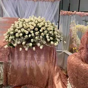 300 white roses casket spray