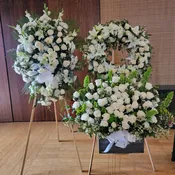 White Floral Collection 2