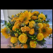 Burst of yellow