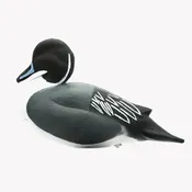 Eberhart Full Body Pintail Decoys - 12 Pack