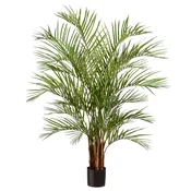 67″ Areca Palm Tree in Vinyl Liner