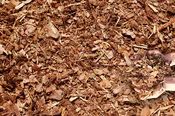 Red Pine Mulch