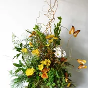 Butterflies For A Beautiful Soul