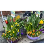 SPRING GARDEN BOWL