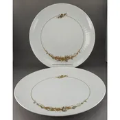 2 Excellent Vintage Rosenthal China Romance Medley Dinner Plates
