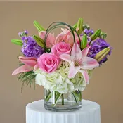 La La Lilies Party By Kokee
