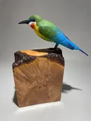 African Bee Eater