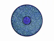 18 Inch Top Opal
