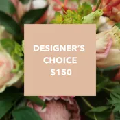 Designers Choice $150