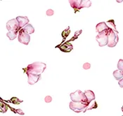 ASE Shop Hop 2026 / Blossom-Pink Yardage