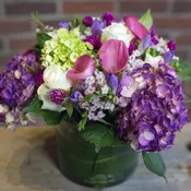The  Art of Purple
