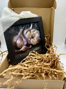 Allium — Painted River Studios