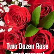 Two Dozen Roses Arranged Designer’s Choice Of Colors