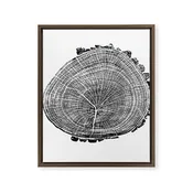 Eastern Ash - Tree ring ink woodblock print Framed Canvas Print