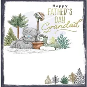 Bear Sat By Plant Pot Grandad Father\’s Day Card