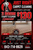 3 room Carpet Cleaning $130-Professional Carpet cleaning service that serves the areas of Goose Creek,Moncks Corner,Ladson,North Charleston Hanahan,Summerville.