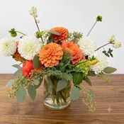 Dahlia Fields