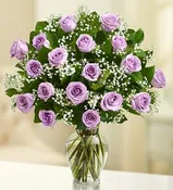 18 LAVENDER ROSES