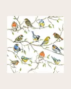 A Bird Meeting Beverage Napkins