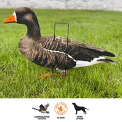 Pro II Lite Specklebelly Decoys