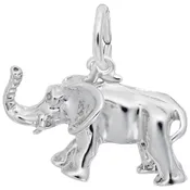 African Elephant