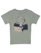 Boys' Buck SS - Sage