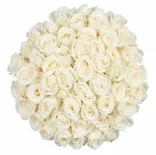 50 Stems Fresh White Roses