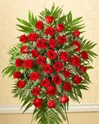 24 Red Rose Spray