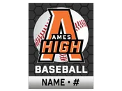 AHS Baseball Yard Sign — Sign Pro of Ames