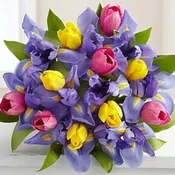 Birthday BR-A002