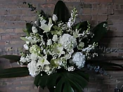Graceful White Spray