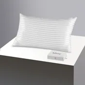 Blissy Queen Silk Pillowcase