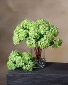 12" Snowball Hydrangea Silk Flower Bundle