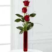 3 ROSE TALL RUBY VASE. NEW-R43