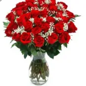 Dazzling Roses