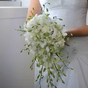 50 Orchid Wedding Pack DIY Flower Kit